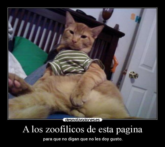 A los zoofilicos de esta pagina -
