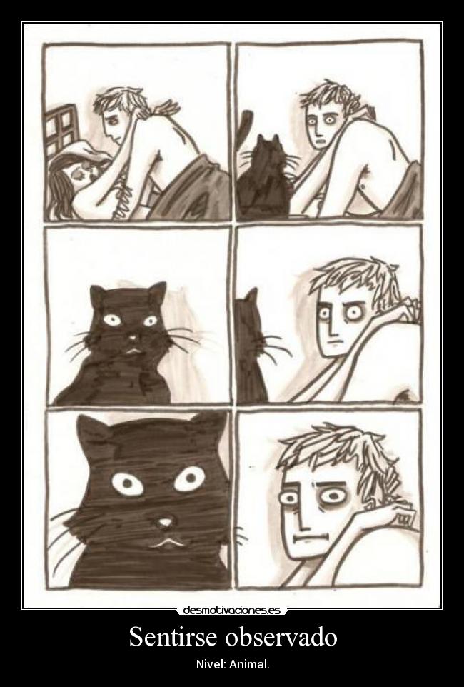 Sentirse observado - Nivel: Animal.