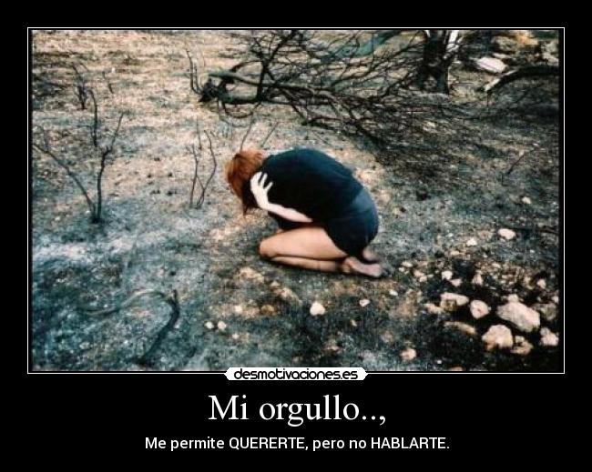 carteles 6871023265 desmotivaciones