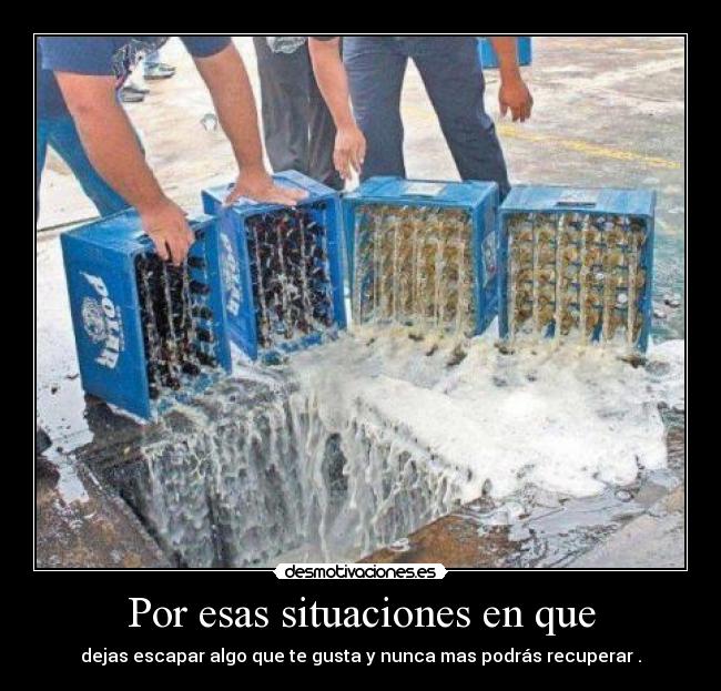Por esas situaciones en que - dejas escapar algo que te gusta y nunca mas podrás recuperar .