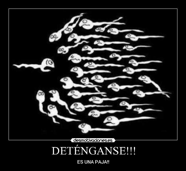 DETÉNGANSE!!! -