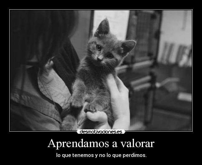 Aprendamos a valorar - lo que tenemos y no lo que perdimos.