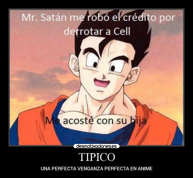 TIPICO -