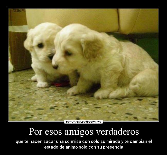 Por esos amigos verdaderos - que te hacen sacar una sonrrisa con solo su mirada y te cambian el
estado de animo solo con su presencia