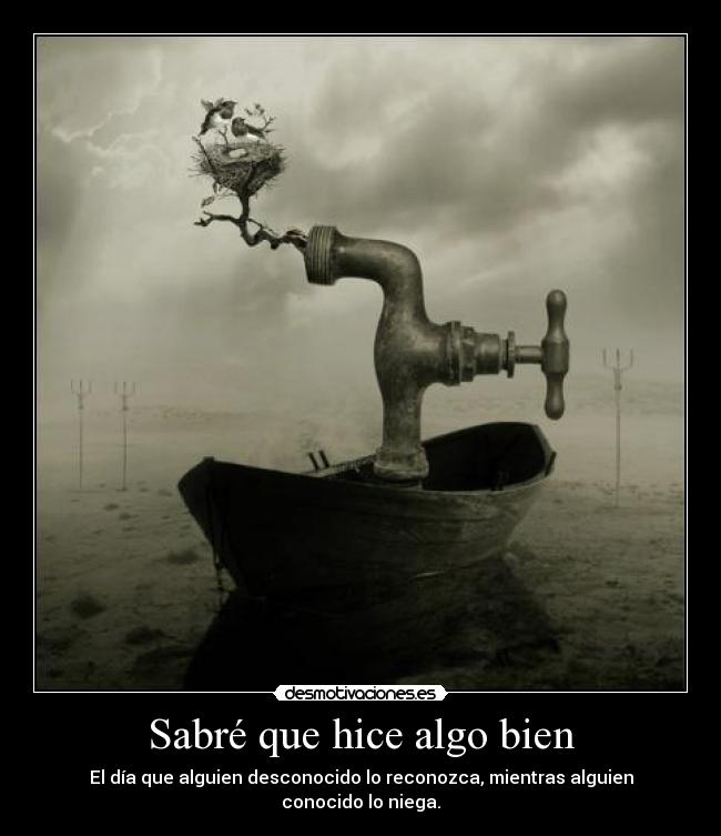 Sabré que hice algo bien -