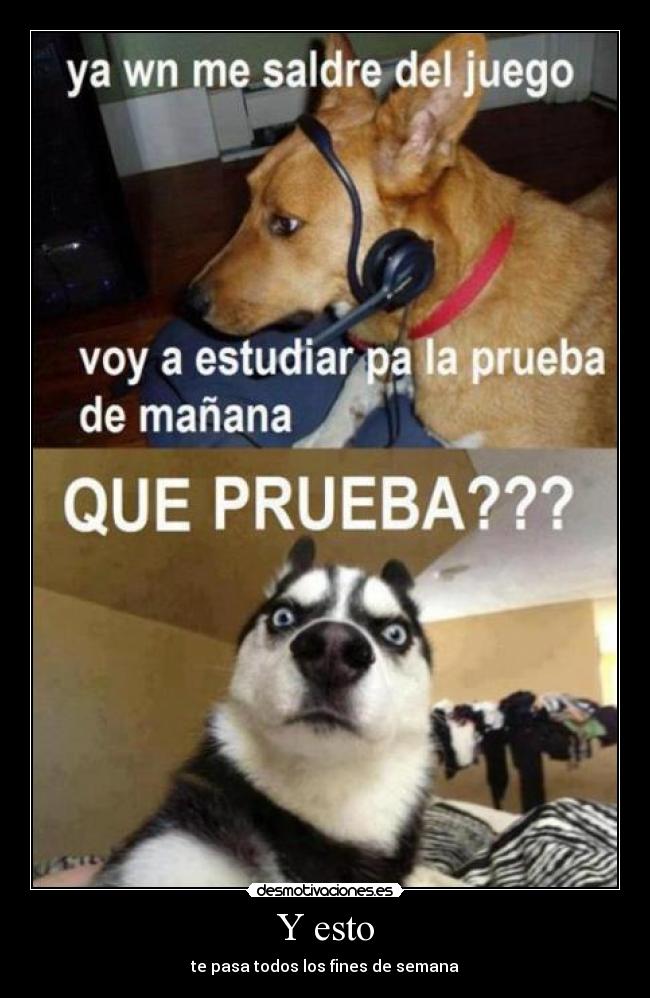 Y esto - te pasa todos los fines de semana