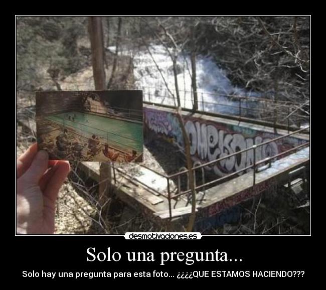 Solo una pregunta... - Solo hay una pregunta para esta foto... ¿¿¿¿QUE ESTAMOS HACIENDO???