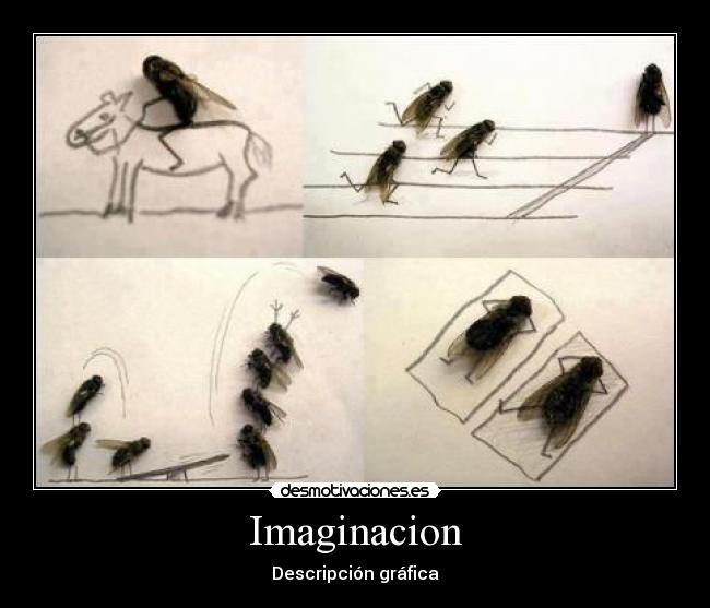 Imaginacion - Descripción gráfica