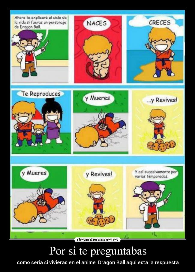 Por si te preguntabas - 