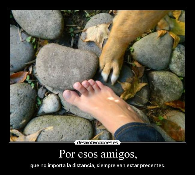Por esos amigos, -
