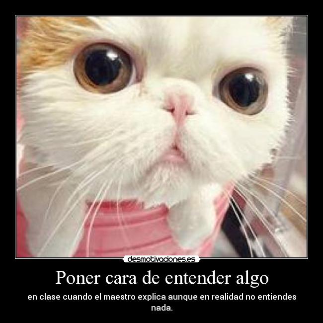 carteles mariatururu desmotivaciones