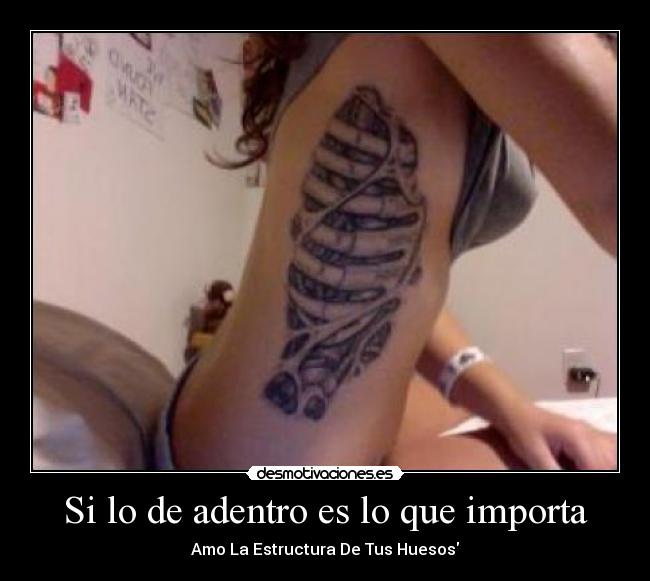 Si lo de adentro es lo que importa - Amo La Estructura De Tus Huesos