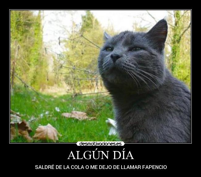 ALGÚN DÍA - SALDRÉ DE LA COLA O ME DEJO DE LLAMAR FAPENCIO
