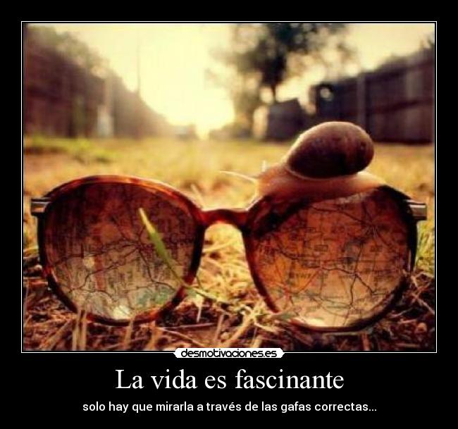 La vida es fascinante -
