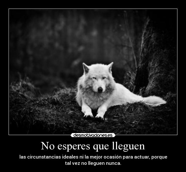 No esperes que lleguen -