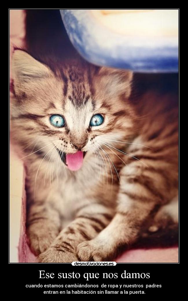 Ese susto que nos damos - cuando estamos cambiándonos de ropa y nuestros padres
entran en la habitación sin llamar a la puerta.