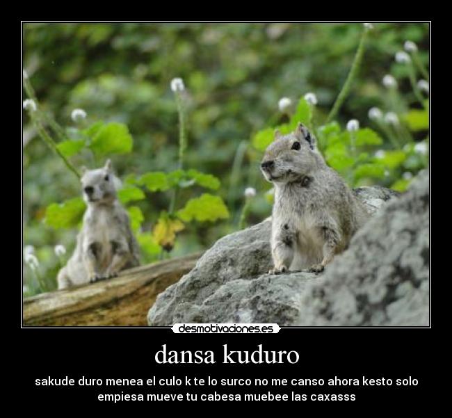 dansa kuduro -