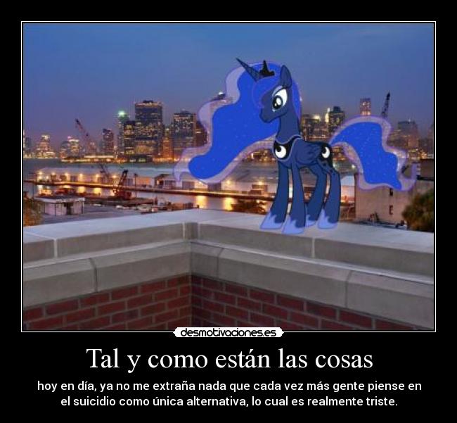 carteles que quede claro que voy suicidarme solo cartel proyecto mega cartel ponis desmotivaciones