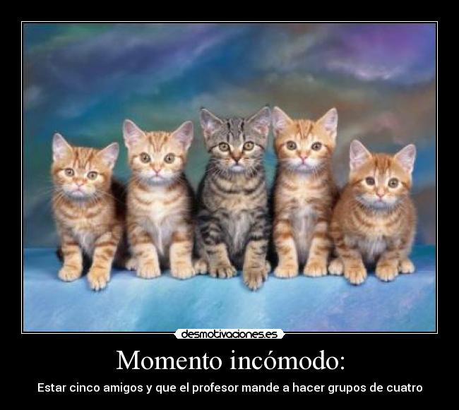 Momento incómodo: - Estar cinco amigos y que el profesor mande a hacer grupos de cuatro