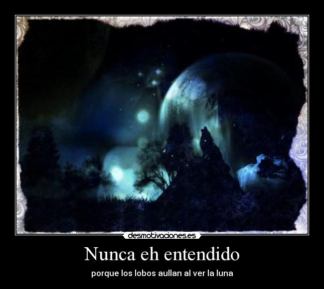 Nunca eh entendido - porque los lobos aullan al ver la luna