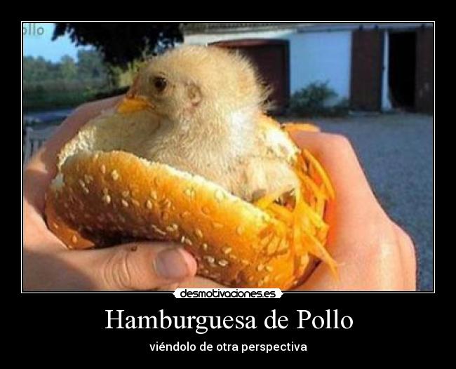 Hamburguesa de Pollo - viéndolo de otra perspectiva