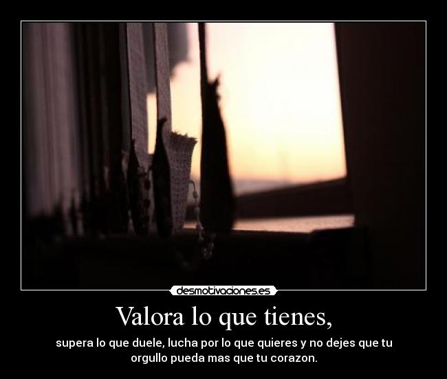 Valora lo que tienes, - supera lo que duele, lucha por lo que quieres y no dejes que tu
orgullo pueda mas que tu corazon.