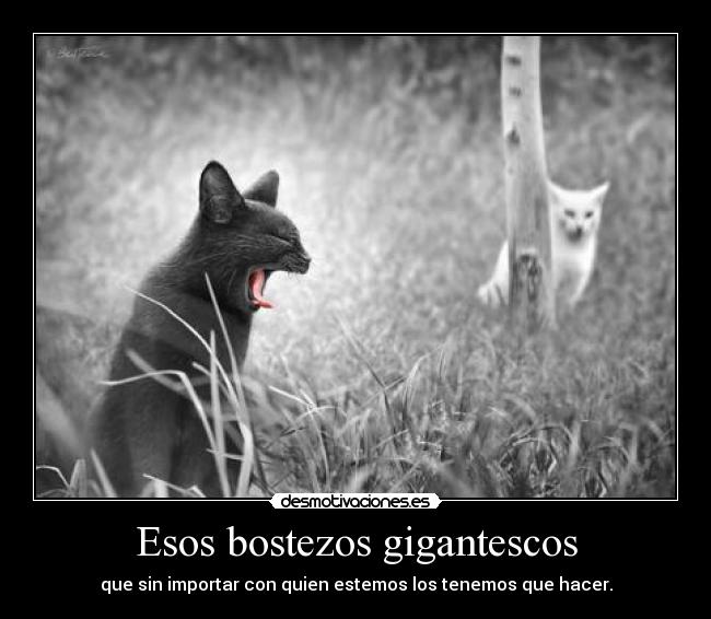 Esos bostezos gigantescos -