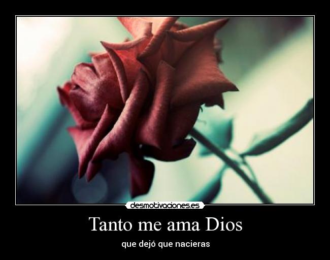 Tanto me ama Dios - que dejó que nacieras