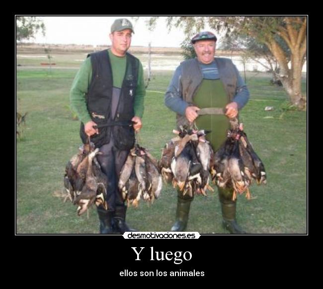 Y luego - ellos son los animales