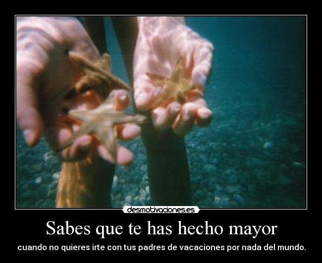 carteles sabes que has hecho mayor desmotivaciones