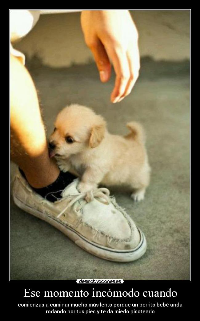 Ese momento incómodo cuando -