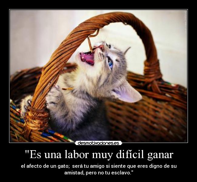 Es una labor muy difícil ganar - el afecto de un gato; será tu amigo si siente que eres digno de su
amistad, pero no tu esclavo.