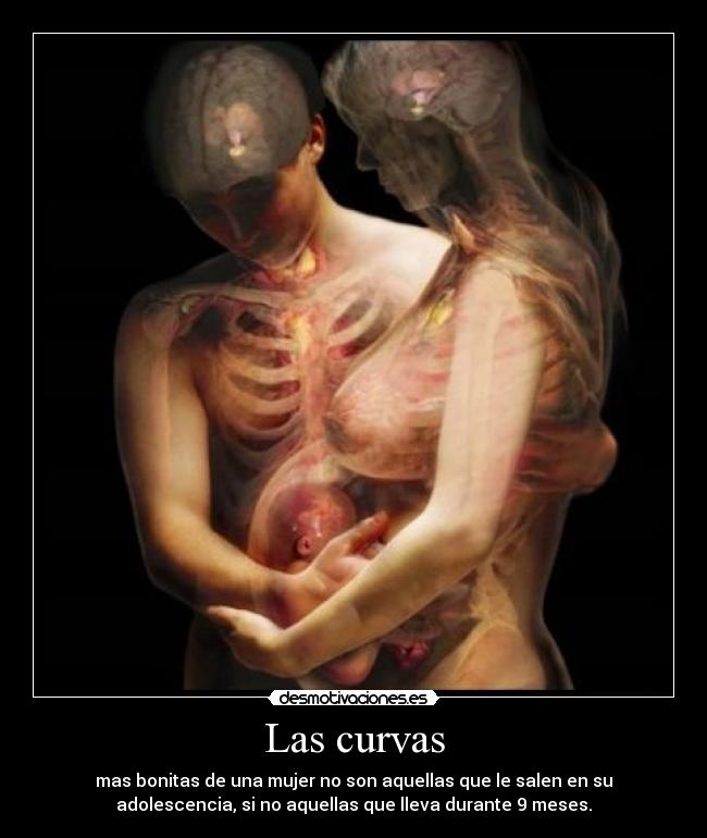 carteles volvi hetero subiendo esto jajajaja desmotivaciones