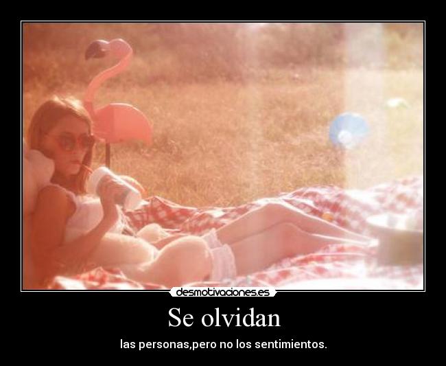 Se olvidan -