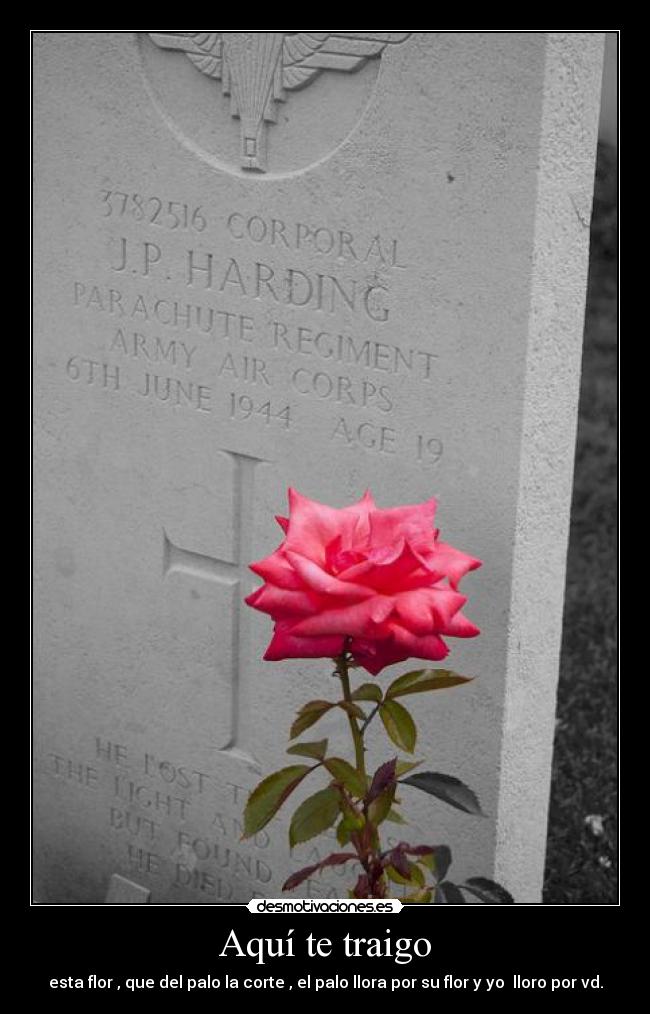Aquí te traigo - esta flor , que del palo la corte , el palo llora por su flor y yo lloro por vd.
