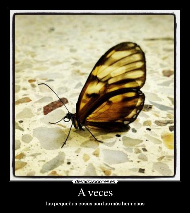 carteles pequena cosas hermosa mariposa desmotivaciones