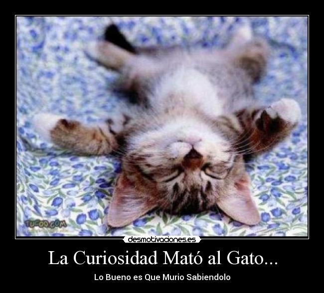 La Curiosidad Mató al Gato... -