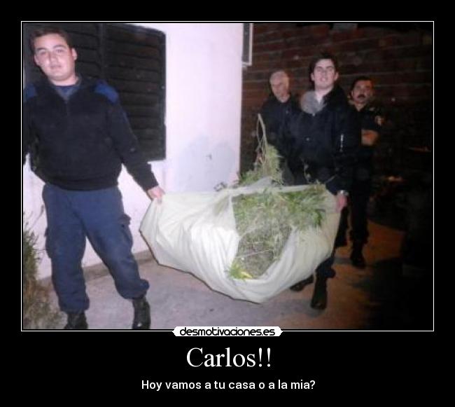 Carlos!! - Hoy vamos a tu casa o a la mia?