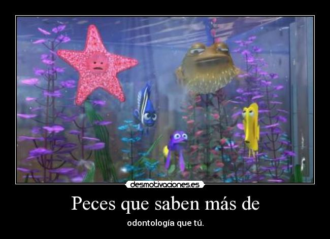 Peces que saben más de - odontología que tú.