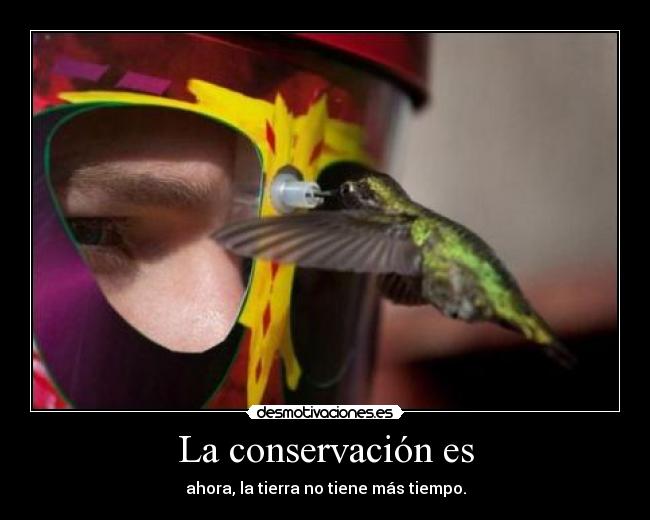 La conservación es -