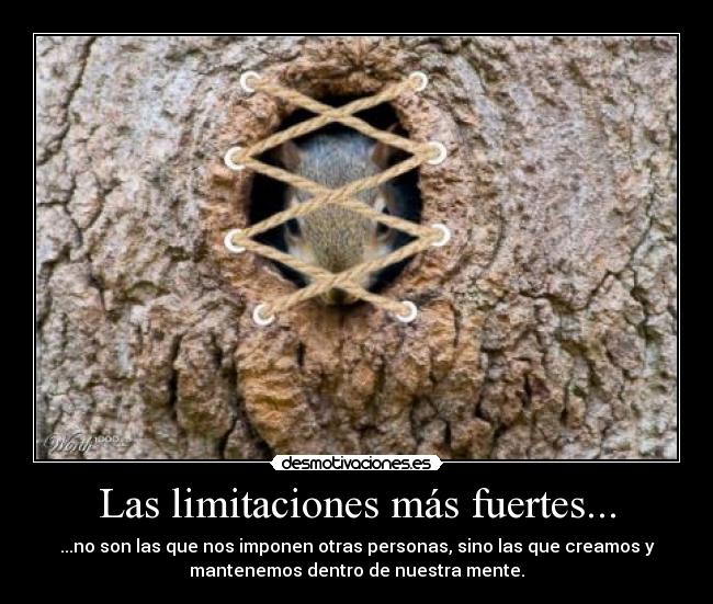 Las limitaciones más fuertes... - ...no son las que nos imponen otras personas, sino las que creamos y
mantenemos dentro de nuestra mente.