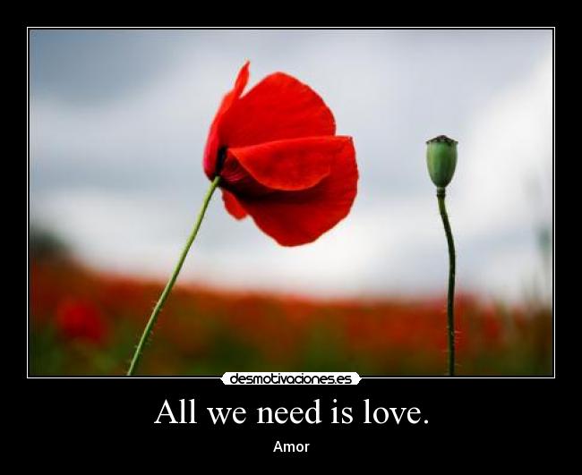 All we need is love. - Amor