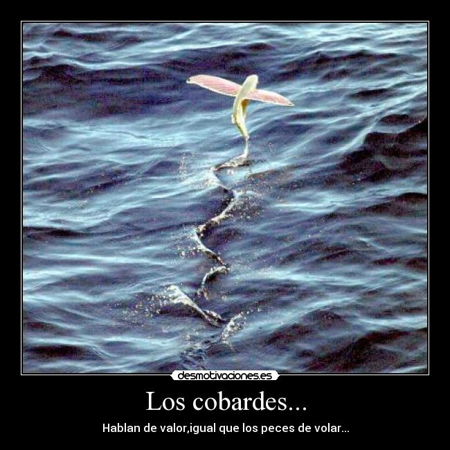 Los cobardes... -
