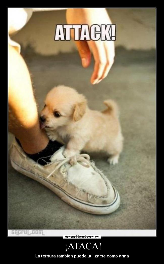 ¡ATACA! -