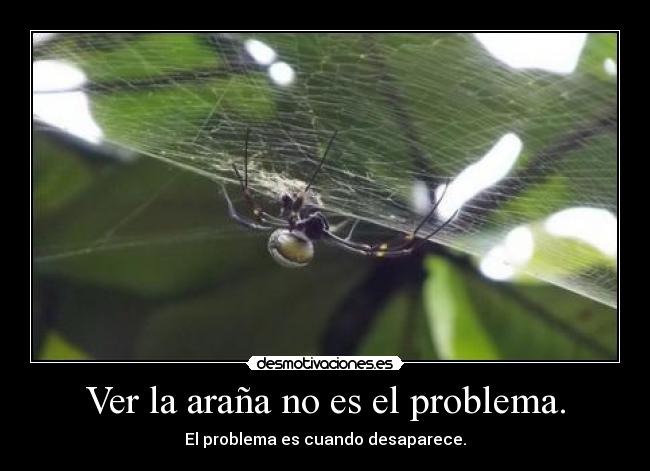 carteles spiderman desmotivaciones