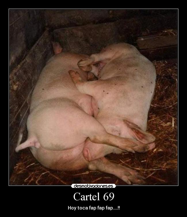 Cartel 69 - Hoy toca fap fap fap....!!