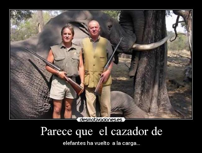 Parece que  el cazador de - elefantes ha vuelto  a la carga...