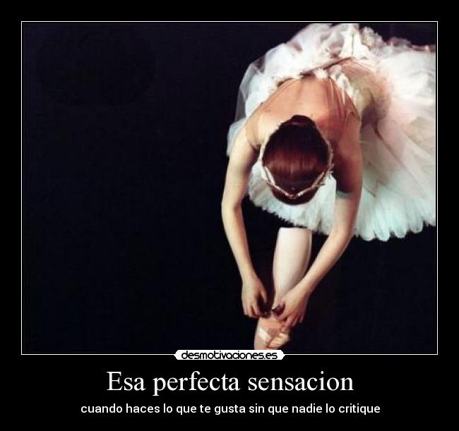 Esa perfecta sensacion -