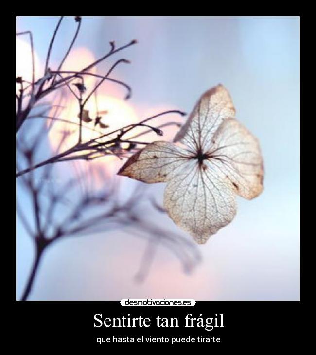 Sentirte tan frágil - que hasta el viento puede tirarte