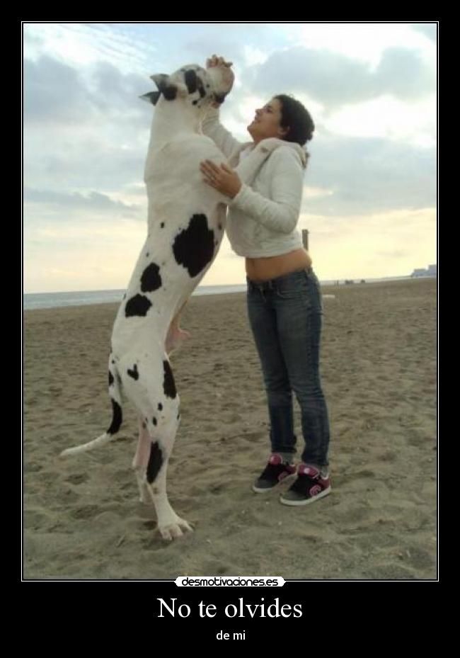 No te olvides - de mi